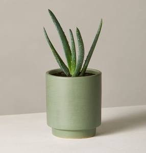 Pot de fleurs en céramique rayé avec support, finition émaillée moderne, support durable pour plantes succulentes d'intérieur, accent de décoration élégant pour la maison - Product Image 2