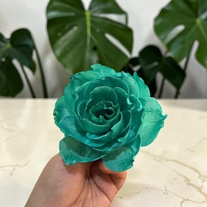 VADEE SOLA WOOD FLOWER Green Garden Rose 001 <b>Diffuser</b> Sola Wood Flowers Sustainable Craft Handmade Sesbania <b>Reed</b> Home Fragrance - Product Image 5