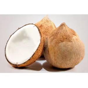 มะพร้าวปอกเปลือกพรีเมียม |   มะพร้าวสดพร้อมดื่ม |   ผู้ส่งออกมะพร้าวเวียดนาม |   ขายส่งสินค้า - Product Image 6