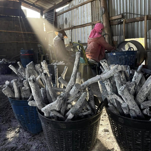 Carbón blanco de madera dura natural 100% al por mayor, carbón Binchotan sin humo de alta calidad para barbacoa, Exportación a Corea, Japón, EE. UU. - Product Image 6