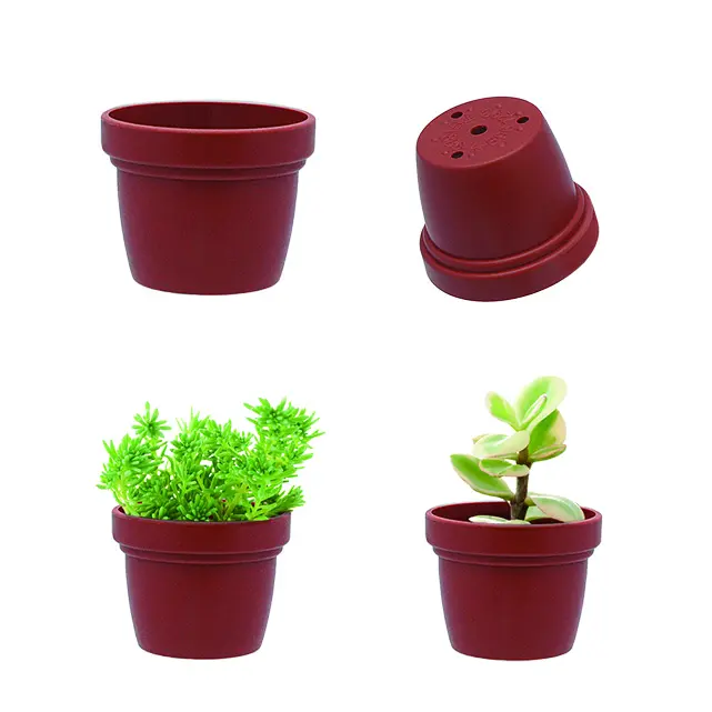 Mini Planter Om In Handgemaakte Keramische Potten Voor Vetplanten Te Passen