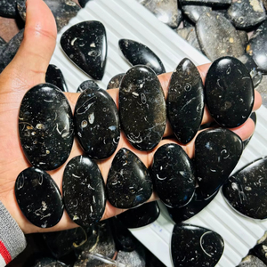 Cabochons de Jaspe Turritella 100% Naturels, Formes Mixtes, Pierres Semi-Précieuses en Gros, Pierres de Guérison Énergétique, Gemmes Libres pour Bijoux ASHU - Product Image 2