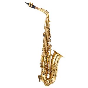 Sassofono Contralto Dorato di Fascia Media Elegante con Tonalità in Mi, Laccato con Motivi Intagliati, Testata in Bachelite e Anima in Legno - Strumento a Fiato - Product Image 1