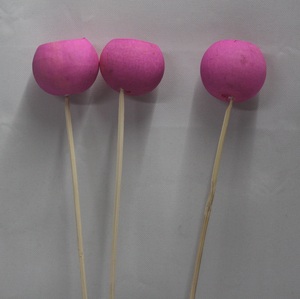 Tige de fleur séchée exotique teinte à la main, exclusive pour la décoration de bouquets et les créations artisanales - Product Image 3