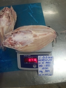 Filete de Pangasius de Vietnam con 0-20% de glaseado de hielo, presentación premium, IQF, con o sin piel, cortado a la mariposa, conociendo la calidad experta. - Product Image 1