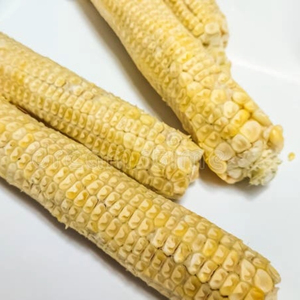 Briquetas de Madera Dura al por Mayor, Combustible de Biomasa Ecológico, Ahorro de Energía, Alternativa al Carbón Comprimido para Barbacoa y Calefacción, Alto Poder Calorífico - Product Image 1