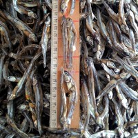 Anchois séchés - Meilleur prix au Vietnam - Fruits de mer - M. Alex Truong