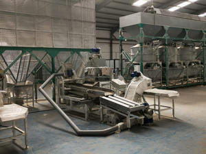 Planta de Procesamiento de Nuez de Cajú 5-100 T/Día Semiautomática para Producción de Nuez de Cajú, Sistema de Acero Inoxidable, Fabricante Vietnam - Product Image 2