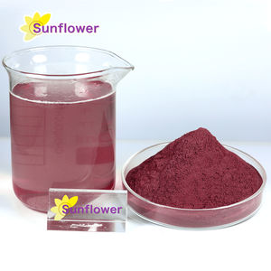 Alimentation d'usine Colorant alimentaire de haute qualité Anthocyanines 25% Poudre d'extrait de fruit de sureau noir - Product Image 2