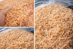 Dried Baby Shrimp Bulk Pack <b>Small</b> Flavored Seafood Snack Vietnamese Delicacy Ca Mau Origin 10kg Box Packaging/Ms. KELLY - Product Image 2