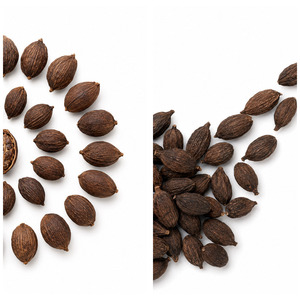 Delicious Competitive Price Top Notch Quality Vietnam Manufacturer Supply Hot Sale Black Cardamom Bulk - Product Image 5