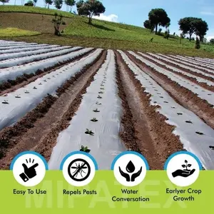 Film de paillage agricole de grande taille LLDPE, marque CRADLE of LIFE, de OJISHTHA INDUSTRIES - Product Image 5