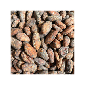 Fèves de cacao de qualité supérieure prêtes à être expédiées en gros, export en vrac, meilleure qualité, approvisionnement - Product Image 4