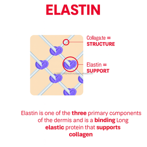 Bâton gommeux de gelée de collagène de gluta d'éclaircissant de peau d'OEM coréen - Product Image 2