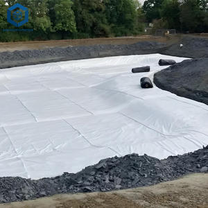 Tissu géotextile perméable Géotextile non tissé 1000g <span class=keywords><strong>M2</strong></span> <span class=keywords><strong>Prix</strong></span> <span class=keywords><strong>pour</strong></span> le développement d'infrastructures - Product Image 5