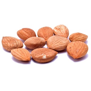 Servicios OEM: Núcleos de Albaricoque Amargo a Precio de Fábrica en Oferta - Product Image 6
