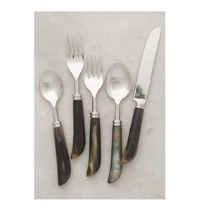 Ensemble de couverts très vendu, manche en corne, acier inoxydable, ensemble de couverts de table, poli miroir, ensemble de couverts en corne pour la cuisine à domicile - Product Image 3