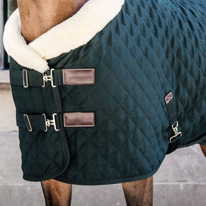 Manta para Caballo de Lujo OEM, Tejido Oxford 600D, Transpirable, Relleno de Algodón, Resistente a Desgarros, Herrajes de Acero Inoxidable - Product Image 4