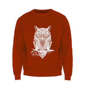 เสื้อสเวตเชิ้ตแบบสวมหัว สไตล์มหาวิทยาลัย ปักลายชมรม ใช้เทคนิคการพิมพ์ DTF/DTG เสื้อผ้าลำลองแนวสปอร์ต สำหรับวิทยาลัยและยิม - Product Image 4