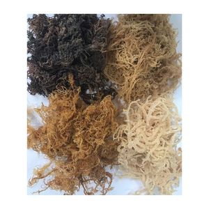 EN TENDENCIA: Musgo Marino Seco para Preparación de Bebidas y Ingredientes de Bar, Grado Alimenticio, para Espesar Alimentos - Product Image 3