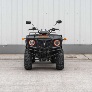 Caja de Carga de 600 kg, 16 Unidades/40HQ, Ideal para Minería Agrícola y Transporte Rural, ATV de Gasolina de 16 HP y 229 cc, 4 Tiempos, 2WD, Transmisión Manual por Eje, Diferencial - Product Image 4