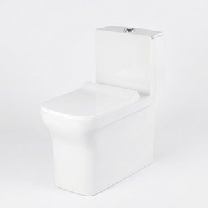 WC monobloc minimaliste à chasse d'eau par gravité, fixation murale ou au sol, en porcelaine, design S/P-trap, facile à nettoyer, équipement de salle de bain - Product Image 1