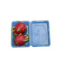 Verse Dragon Fruit Plastic Blister Clamshell Verpakking