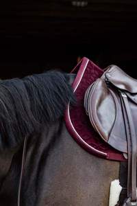 Sangle de selle d'équitation en coton durable de style classique, de haute qualité, avec service OEM à prix abordable, la plus vendue - Product Image 3