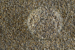 Millet non glutineux de haute qualité pour l'alimentation animale et la nutrition du bétail, qualité alimentaire, approvisionnement en vrac, Inde, durée de conservation de 12 mois - Product Image 3