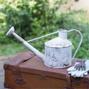 Arrosoir en métal vintage - 1 gallon, blanc rustique, en fer vieilli, avec long bec verseur pour plantes d'intérieur et d'extérieur - Product Image 1