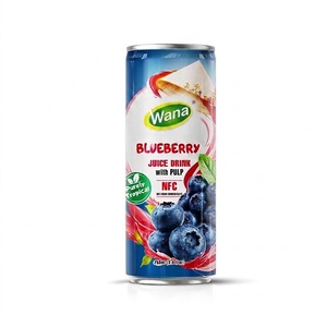 Jugo de Sandía Premium con Pulpa, Bebida Lista para Beber en Lata de 250 ml, OEM, Marca Privada para Distribuidores y Propietarios de Marcas - Product Image 5
