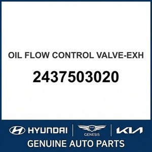 Accent Nouvelles Valves 2437503020 - Product Image 1