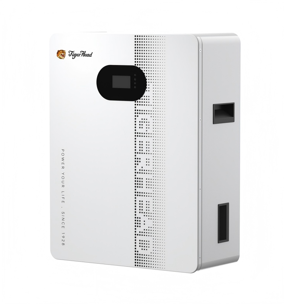 10kWh Tiger Head Solar Grid-connected Battery With Lifepo4 Lithium Ion Backup Power for Commercial · image 2