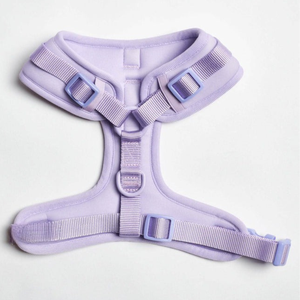 Harnais pour chien ultra doux et respirant vert, ajustable, léger et confortable pour les promenades quotidiennes des chiens actifs - Product Image 4