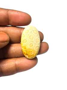 Coral Fósil Natural, Cabujón de Cristal Pulido, Gemas Minerales de Alta Calidad, Formas Mixtas, Materiales a Granel para la Fabricación de Joyería - Product Image 3