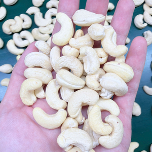 Producto Popular 2026: Nueces de Anacardo Kaju a Granel SANTIGO, Respuesta Rápida - Product Image 4
