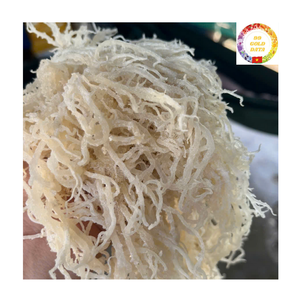 Mousse de mer séchée |   Qualité Océanique Fraîche |   Algues marines naturelles |   Vente en gros en vrac Vietnam - Product Image 3