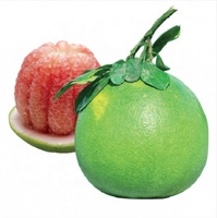 Hoge kwaliteit groene pomelo rode grapefruit fruit uit Vietnam, maat 1,5 tot 2,5 kg, verse exportkwaliteit
