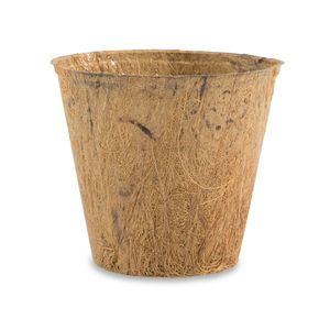 Pots de plantes d'intérieur petits pots de noix de coco en fibre de coco pour la plantation de cactus succulents bonsaï mini plantes - Product Image 1