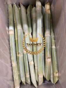 Caña de azúcar entera orgánica de Vietnam IQF procesada y envasada al vacío 24 meses de vida útil Tipo de cultivo común Ventas al por mayor - Product Image 3