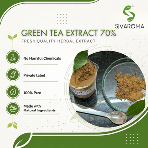 Premium Green Tea Extract 70% Bulk <b>Supplier</b> for <b>Cosmetic</b> Formulations, Botanical Ingredients, Wholesale Distribution and Global - Product Image 2