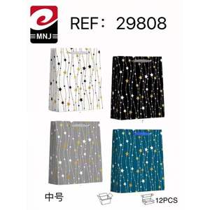 Medium Size Gift Bag for Party Supplies BOLSA DE <b>REGALO</b> - Product Image 3