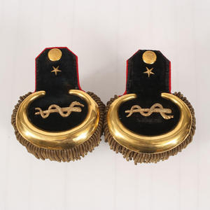Epaulière Britannique, 9e Régt De Pied, Colonel Epaulettes - Product Image 2