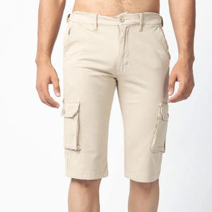 Wholesale Factory Custom Summer Casual Outdoor Golf Short Wholesale High Quality Fitness Cargo Shorts Men's Shorts - Product Image 2