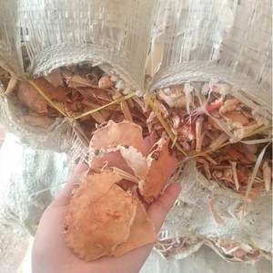 Cáscaras de Cangrejo Secas Vietnamitas de Fábrica, 10 kg/Caja, 24 Meses de Vida Útil, para Uso Industrial - Product Image 1