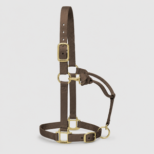 Opción simple y eficaz para el manejo diario de caballos: Cabestro de nailon resistente para montar a diario. - Product Image 4