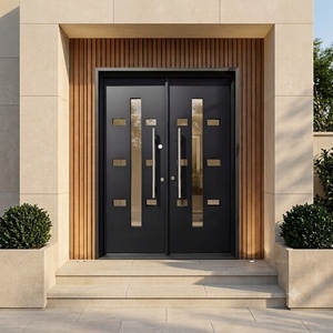 Puerta de Entrada de Hierro Forjado de Lujo, Diseño Moderno con Adornos, Estilo Batiente, Operación Manual, Acabado Resistente al Agua - Product Image 3