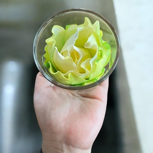 VADEE SOLA WOOD FLOWER SET Diffuseur Fleurs en Bois Sola 6,5 CM Couleur Vert Doux Fibre de Plante Sesbania Bâtonnets d'Aromathérapie Faits à la Main - Product Image 3