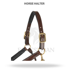 Harnais en cuir rembourré pour cheval avec boucles réglables et ferrures en laiton - Product Image 3