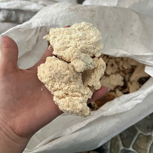 Alimento para Ganado, Cerdos y Caballos, 100% Copra Blanca, Origen Vietnam, Bolsas de 40 kg, Venta al Por Mayor - Product Image 4